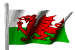 image: Welsh flag