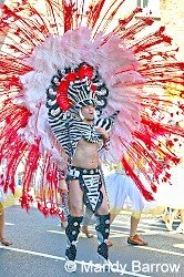 image: Carnival photo