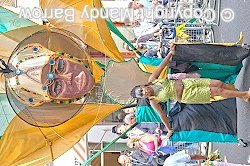 image: Carnival photo