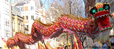 image: dragon