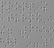 image: Braille