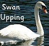 image: Swan Upping
