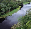 imaf: Amazon River