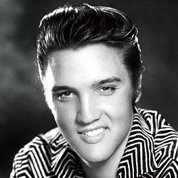 image: Elvis 