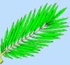 Palm Sunday