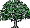 image: oak tree