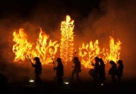 Fire