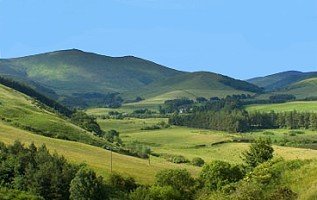 Cheviot Hills