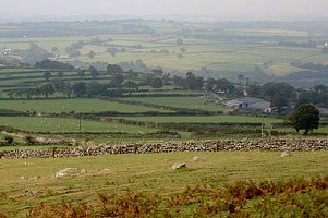 Dartmoor