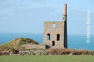 Tin mine