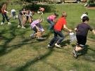 egg hunt