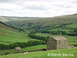 Swaledale in Yorkshire