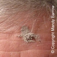 ash on forehead