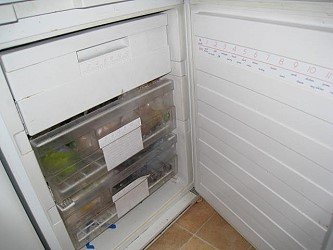 freezer section