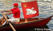 image: swan pping