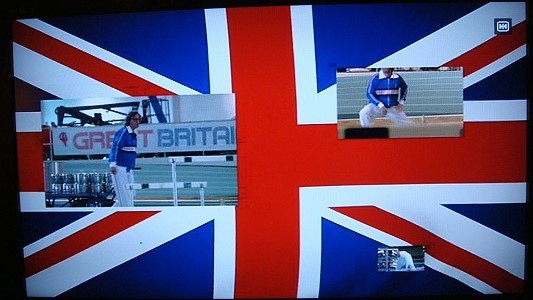 flag upside down
