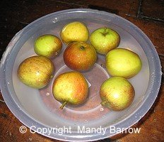 apple bobbing