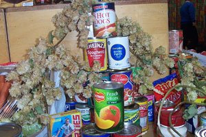Cans of food