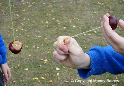 conkers