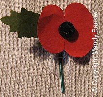 poppy being worn