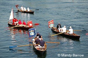 Swan Upping