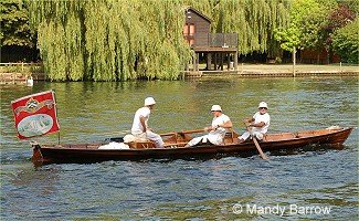 Vintners Skiff