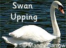 Swan Uppong