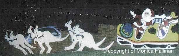 Six white boomers! (That’s slang for Kangaroos!) 