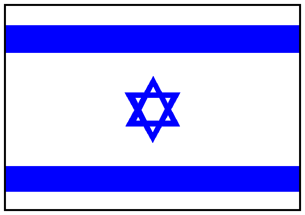 guess the flag