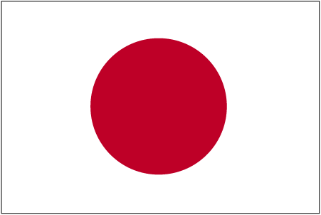 guess the flag