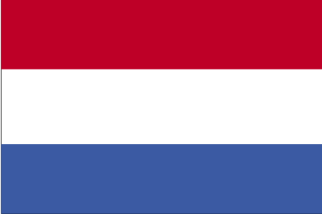 guess the flag