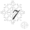 Day 7