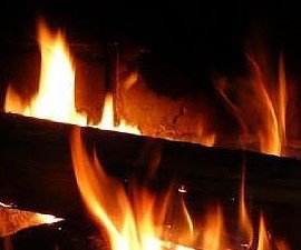 image: yule log
