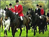 Fox Hunting