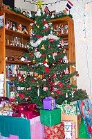 Chrsitmas tree