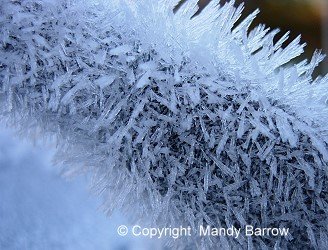 Close up on the ice